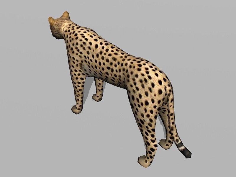 cheetah Low-poly 3D model_2