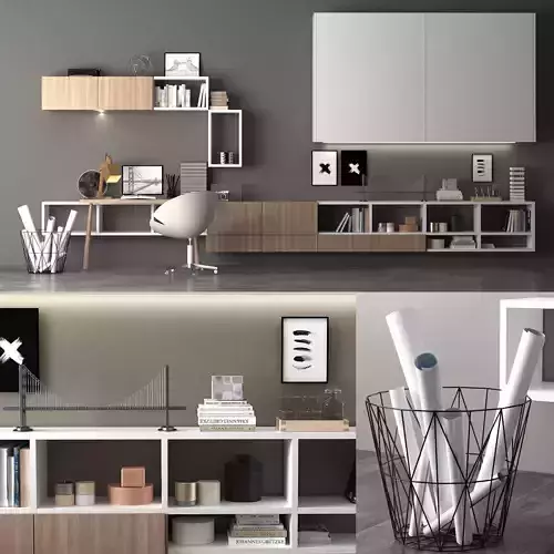 workplace modern home office with bookshelves and shelves