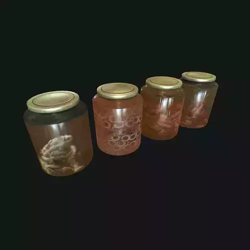 Jar with Organs Low-poly 3D model