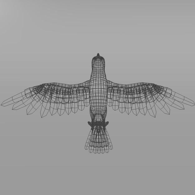 Crow bird Low-poly 3D model_4