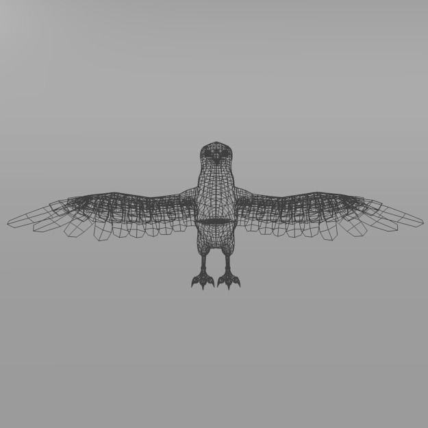 Crow bird Low-poly 3D model_7