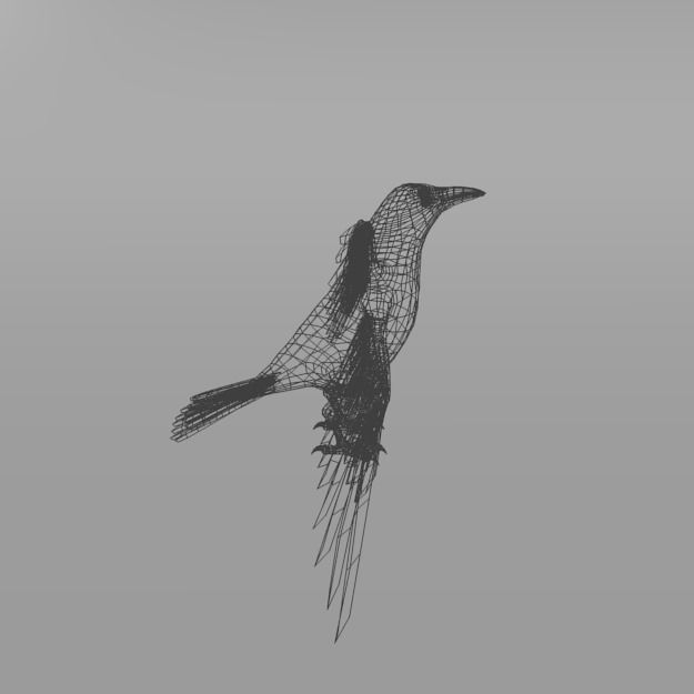 Crow bird Low-poly 3D model_6