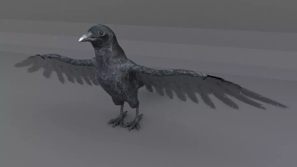 Crow bird Low-poly 3D model_0