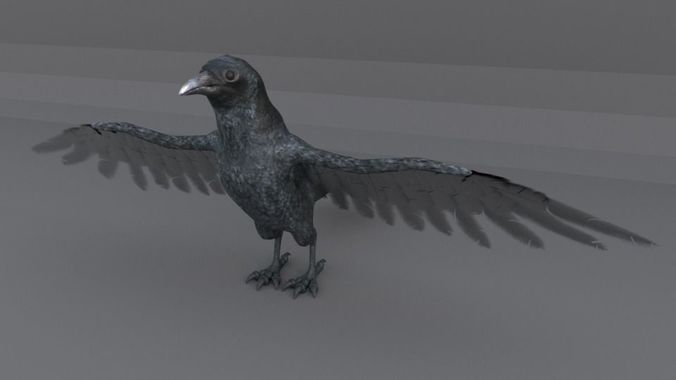 Crow bird Low-poly 3D model