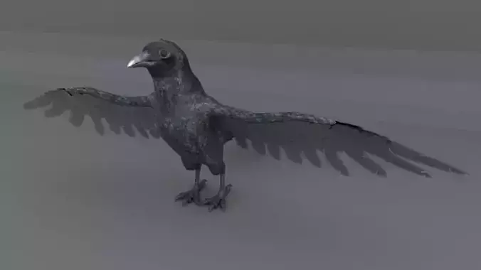 Crow bird Low-poly 3D model