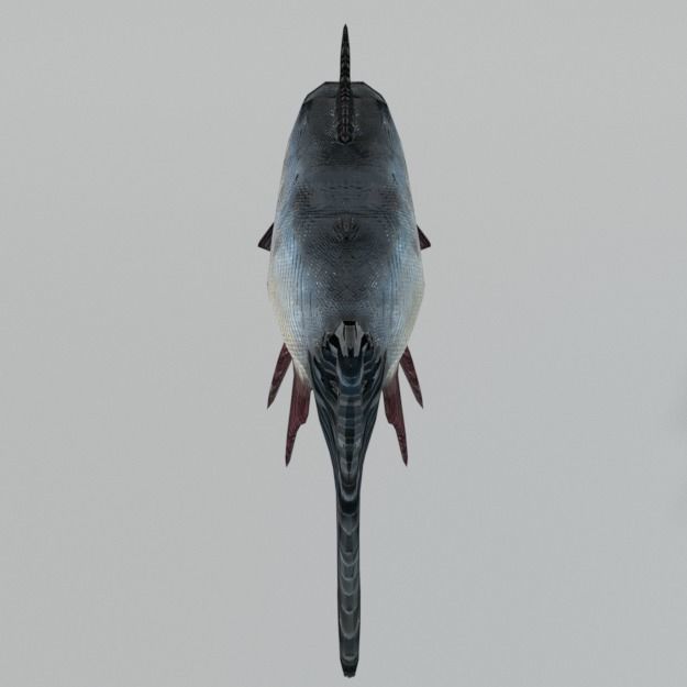 Bocachico fish Low-poly 3D model_4