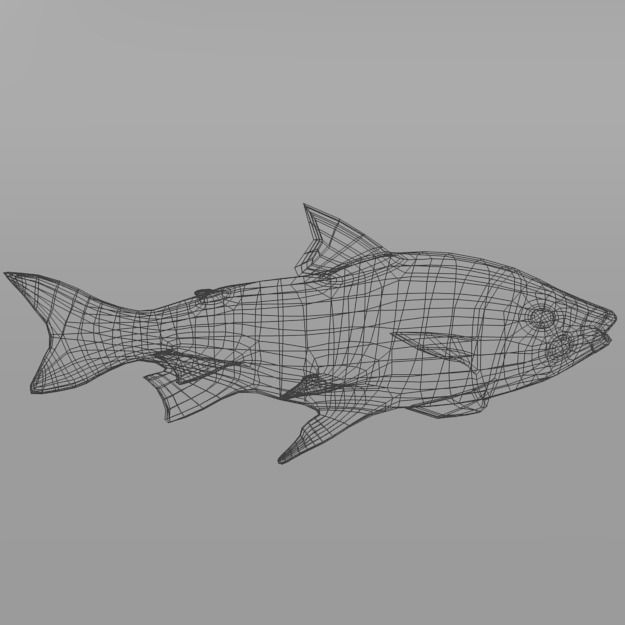 Bocachico fish Low-poly 3D model_7