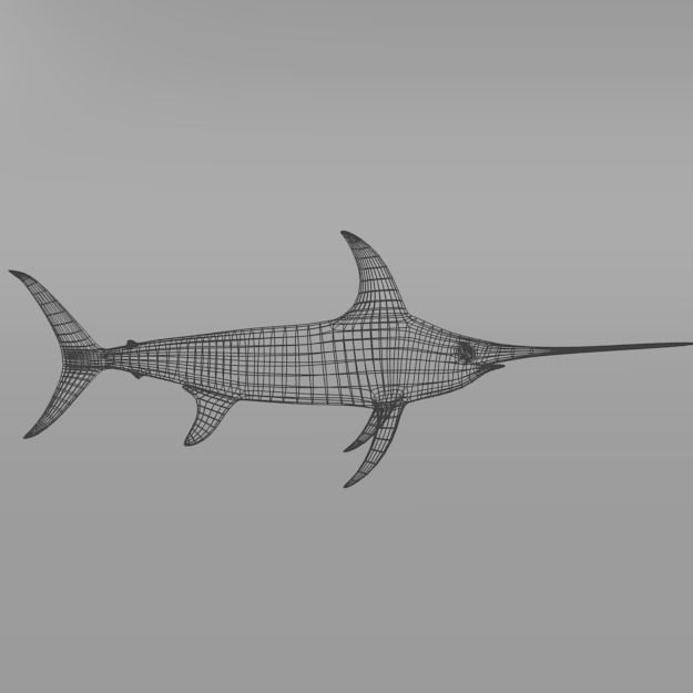 Swordfish marlin Low-poly 3D model_3