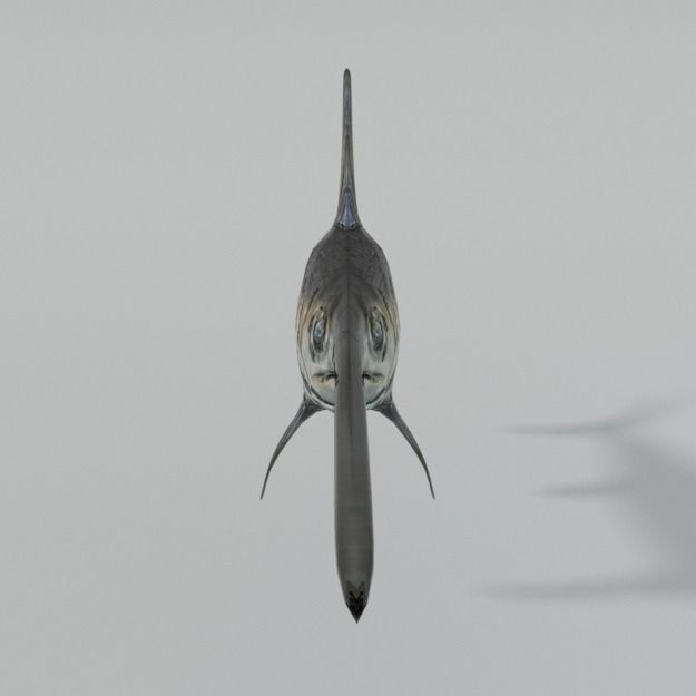 Swordfish marlin Low-poly 3D model_4