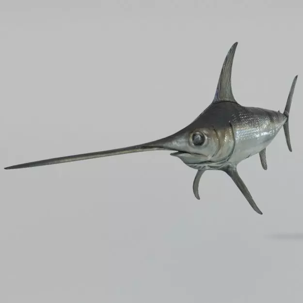 Swordfish marlin Low-poly 3D model_0