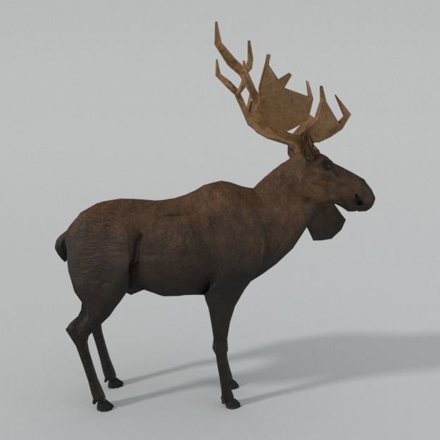 Moose with antlers Low-poly 3D model_3