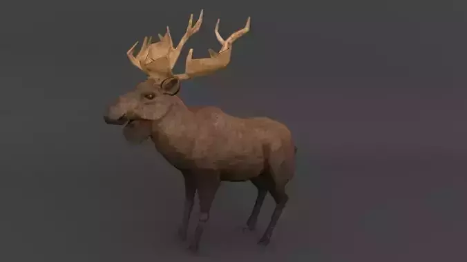 Moose with antlers Low-poly 3D model