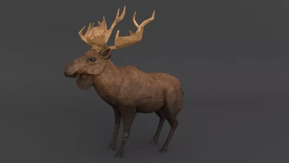 Moose with antlers Low-poly 3D model_0