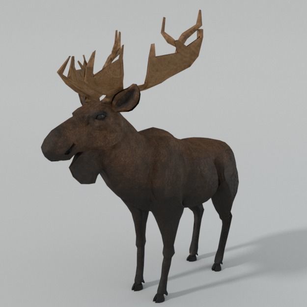 Moose with antlers Low-poly 3D model_1