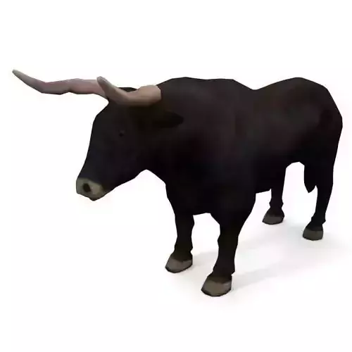 Bull Mammal