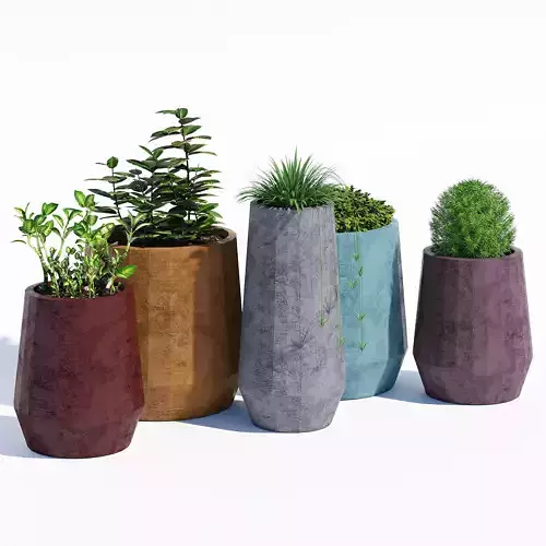 Cirque plant pots