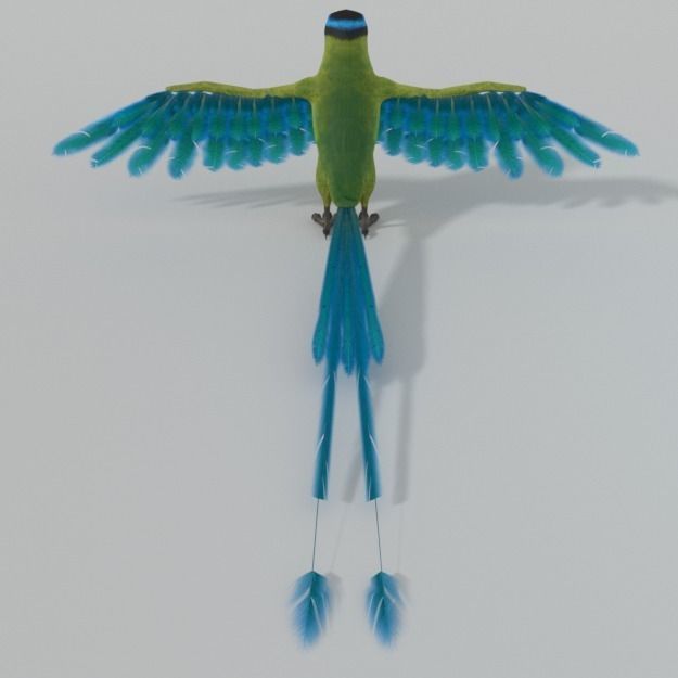 Barranquero Bird Low-poly 3D model_2
