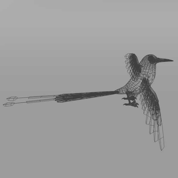 Barranquero Bird Low-poly 3D model_6