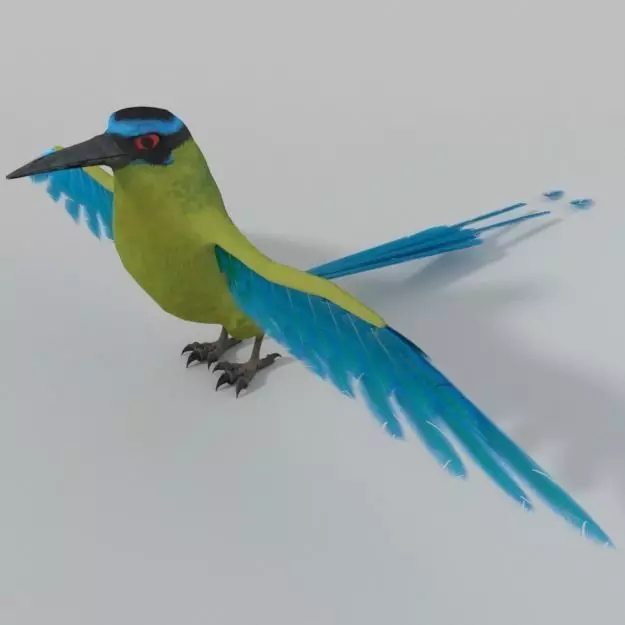 Barranquero Bird Low-poly 3D model_0