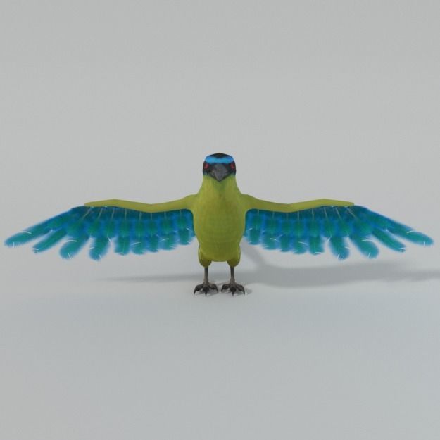 Barranquero Bird Low-poly 3D model_1