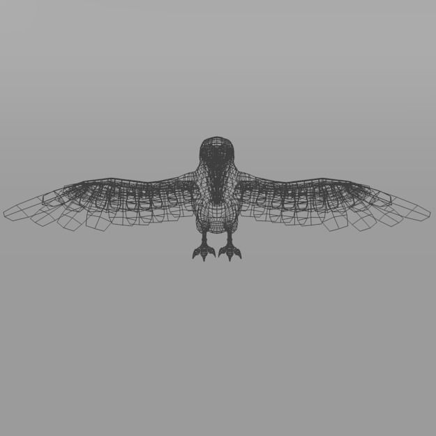 Barranquero Bird Low-poly 3D model_5