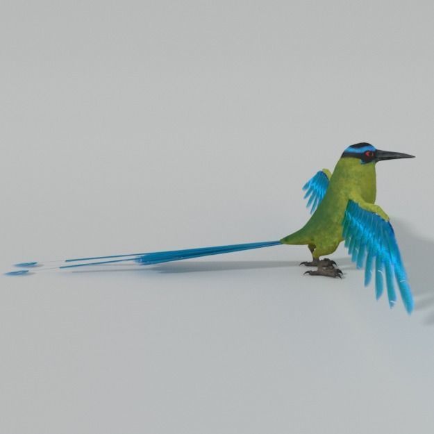 Barranquero Bird Low-poly 3D model_3