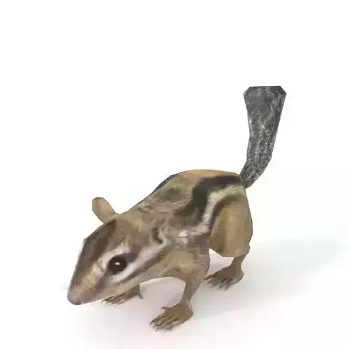 Chipmunk Low-poly 3D model