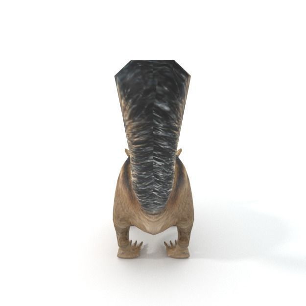 Chipmunk Low-poly 3D model_3