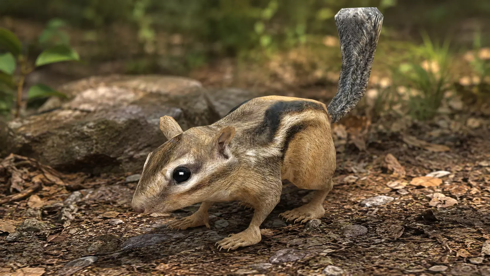 Chipmunk Low-poly 3D model