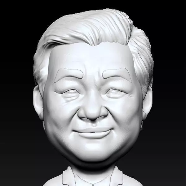 Xi Jinping 3D print model_0