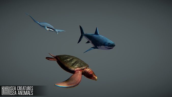 Sea Creatures Low-poly 3D model 7
