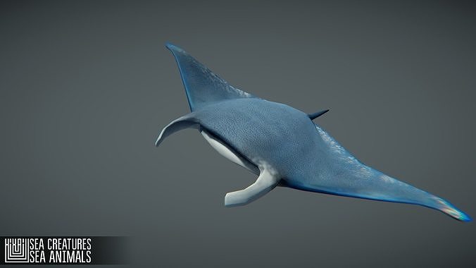Sea Creatures Low-poly 3D model 2