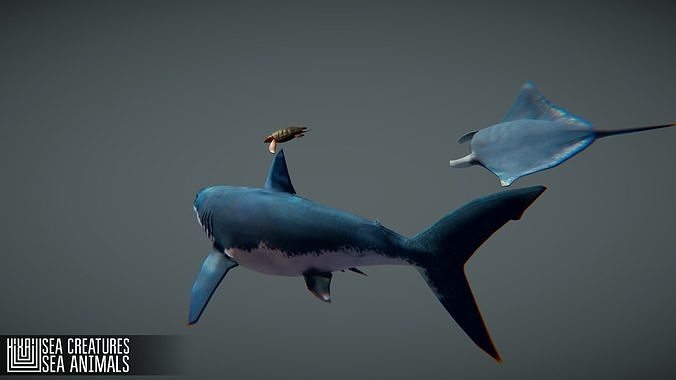 Sea Creatures Low-poly 3D model 6