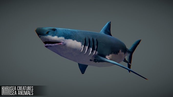 Sea Creatures Low-poly 3D model 3
