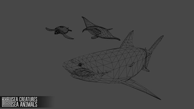 Sea Creatures Low-poly 3D model 4