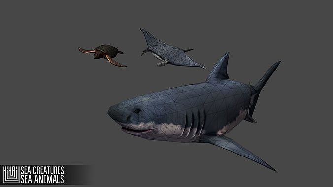 Sea Creatures Low-poly 3D model 5