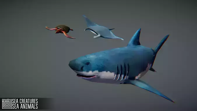 Sea Creatures Low-poly 3D model