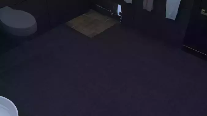 Bathroom Interior Project 3D Model