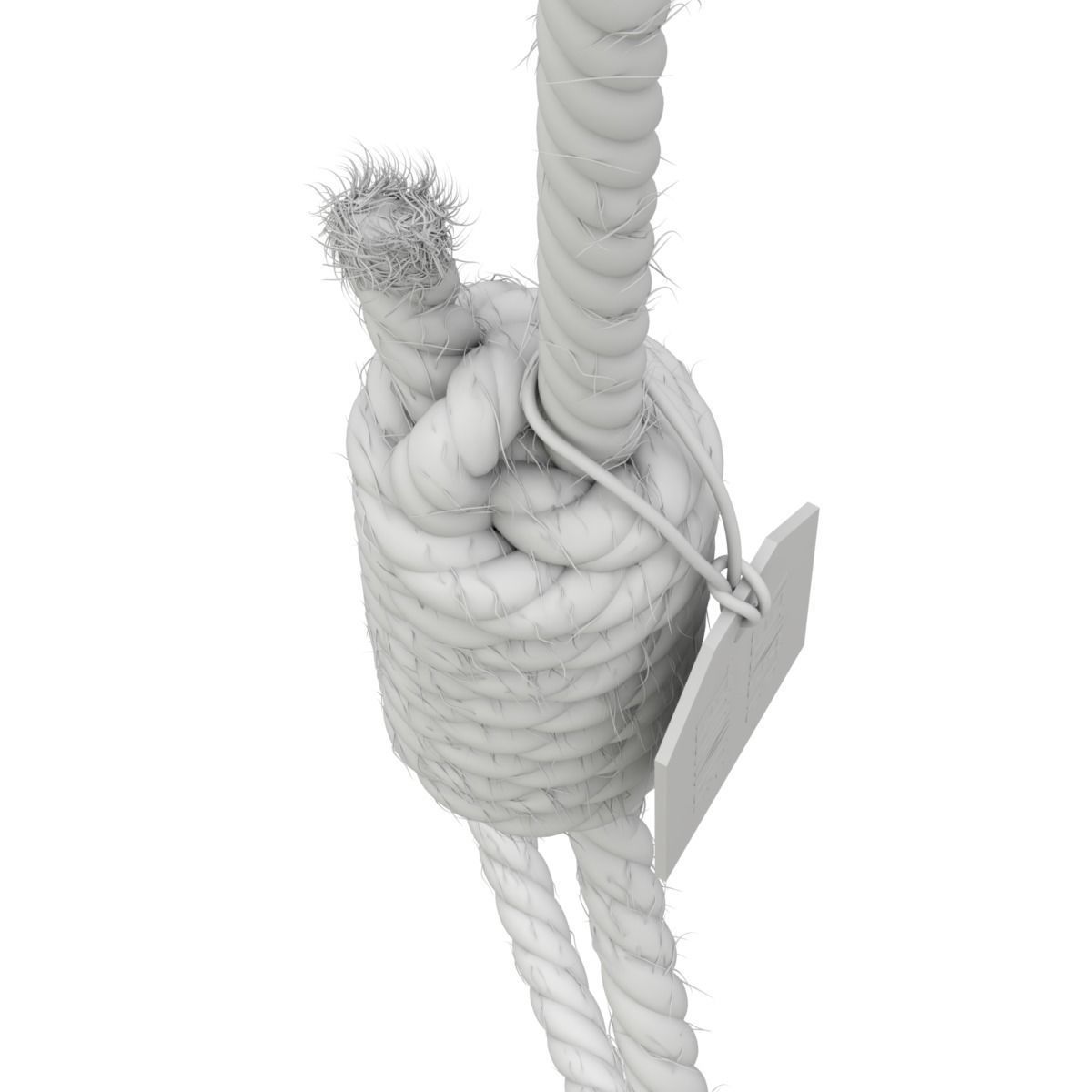 Noose rope with tag hanging from it 3D model_12