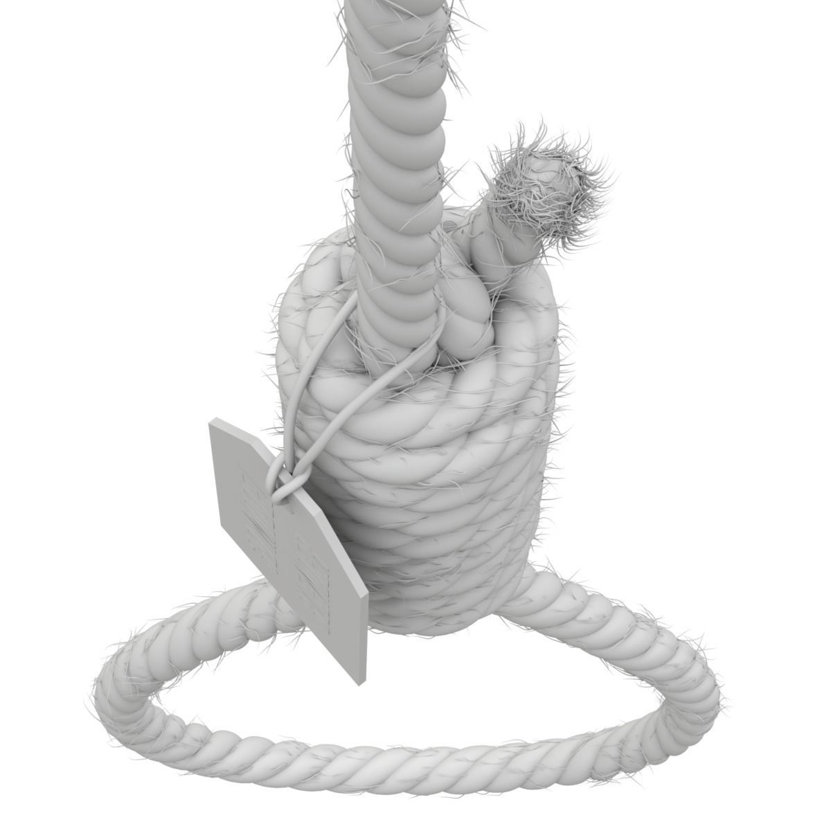Noose rope with tag hanging from it 3D model_10