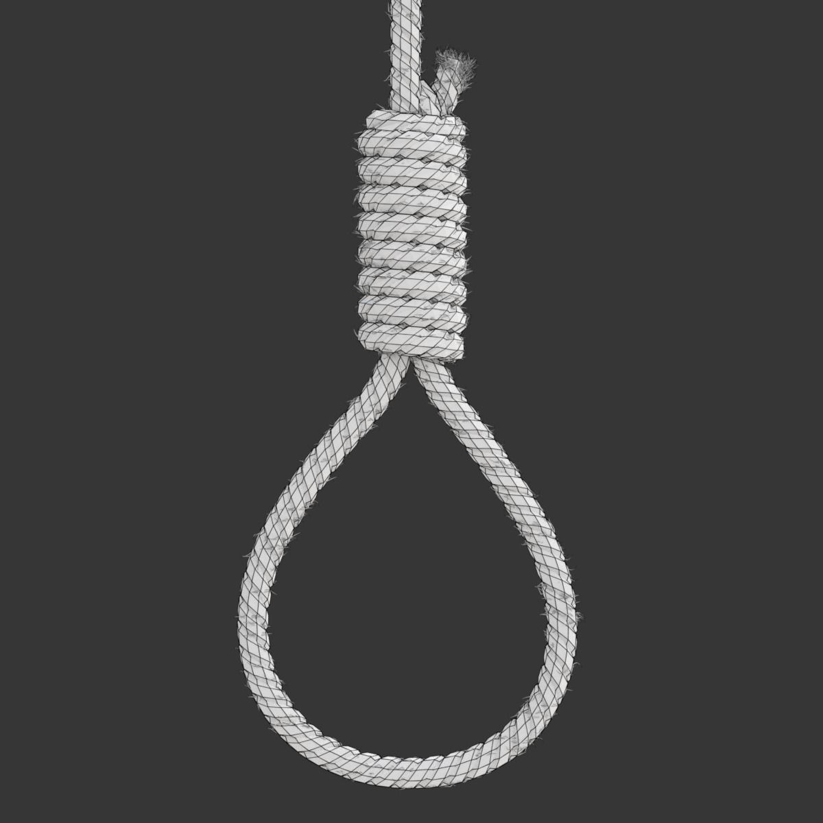 Noose rope with tag hanging from it 3D model_18
