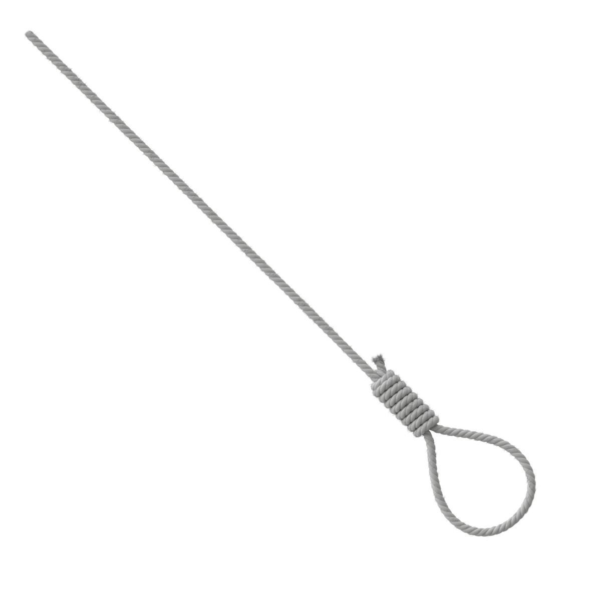 Noose rope with tag hanging from it 3D model_14