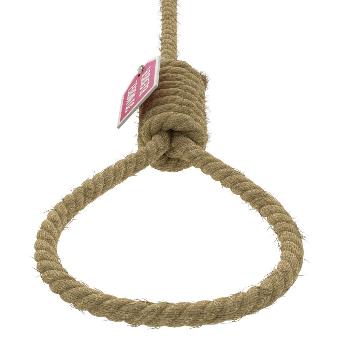 Noose rope with tag hanging from it 3D model_1