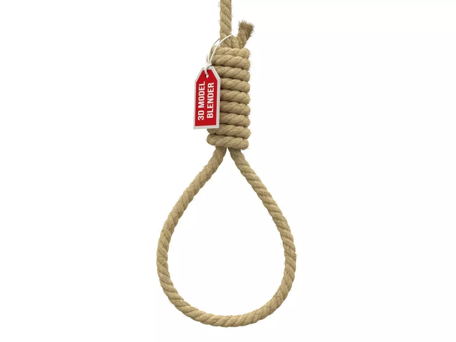 Noose rope with tag hanging from it 3D model_0