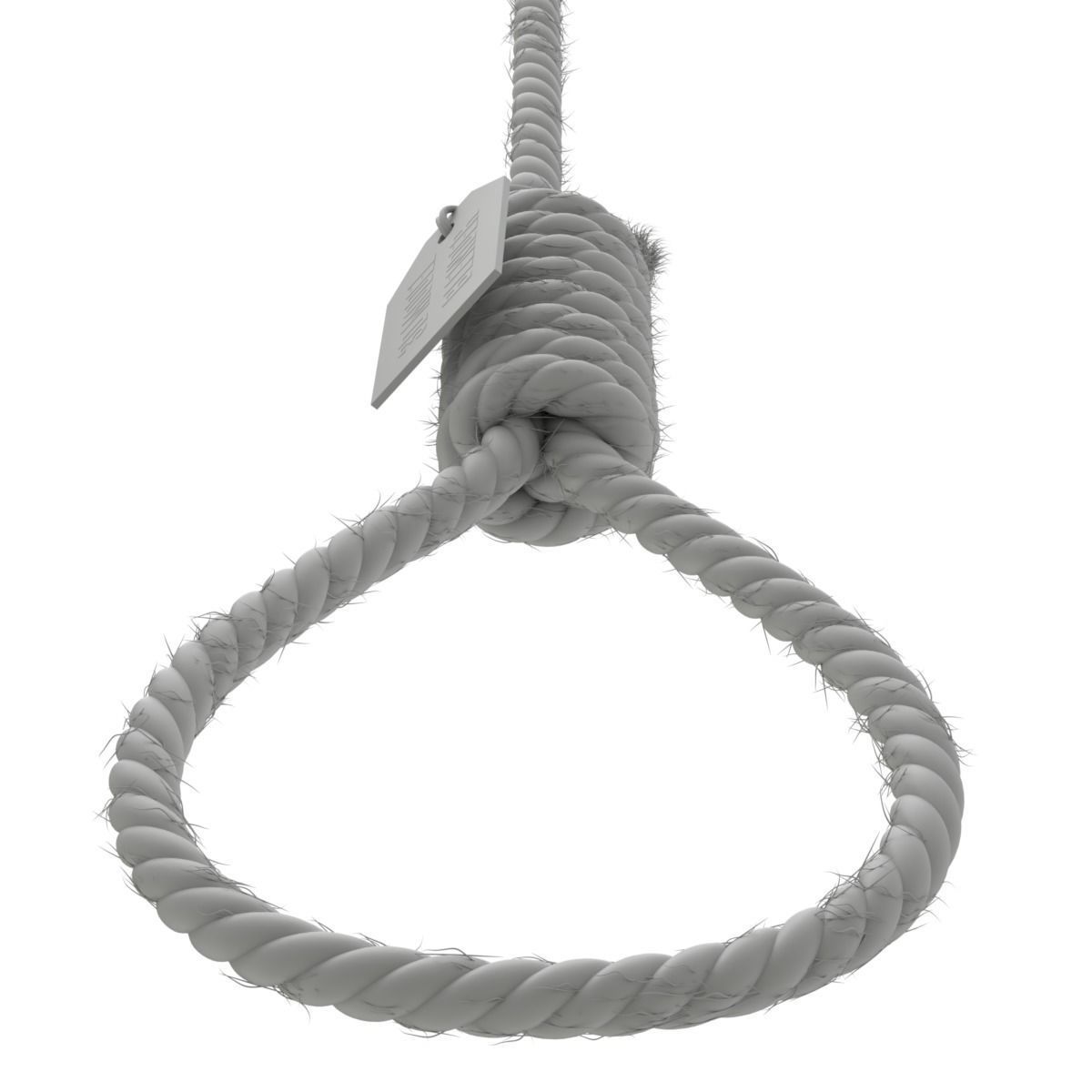 Noose rope with tag hanging from it 3D model_11