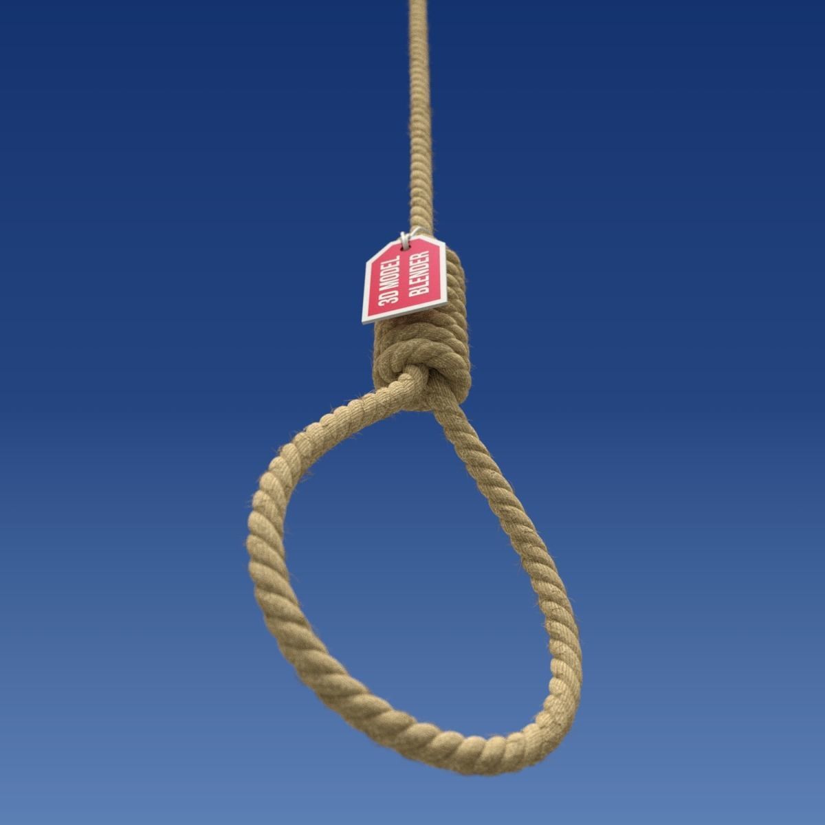 Noose rope with tag hanging from it 3D model_4
