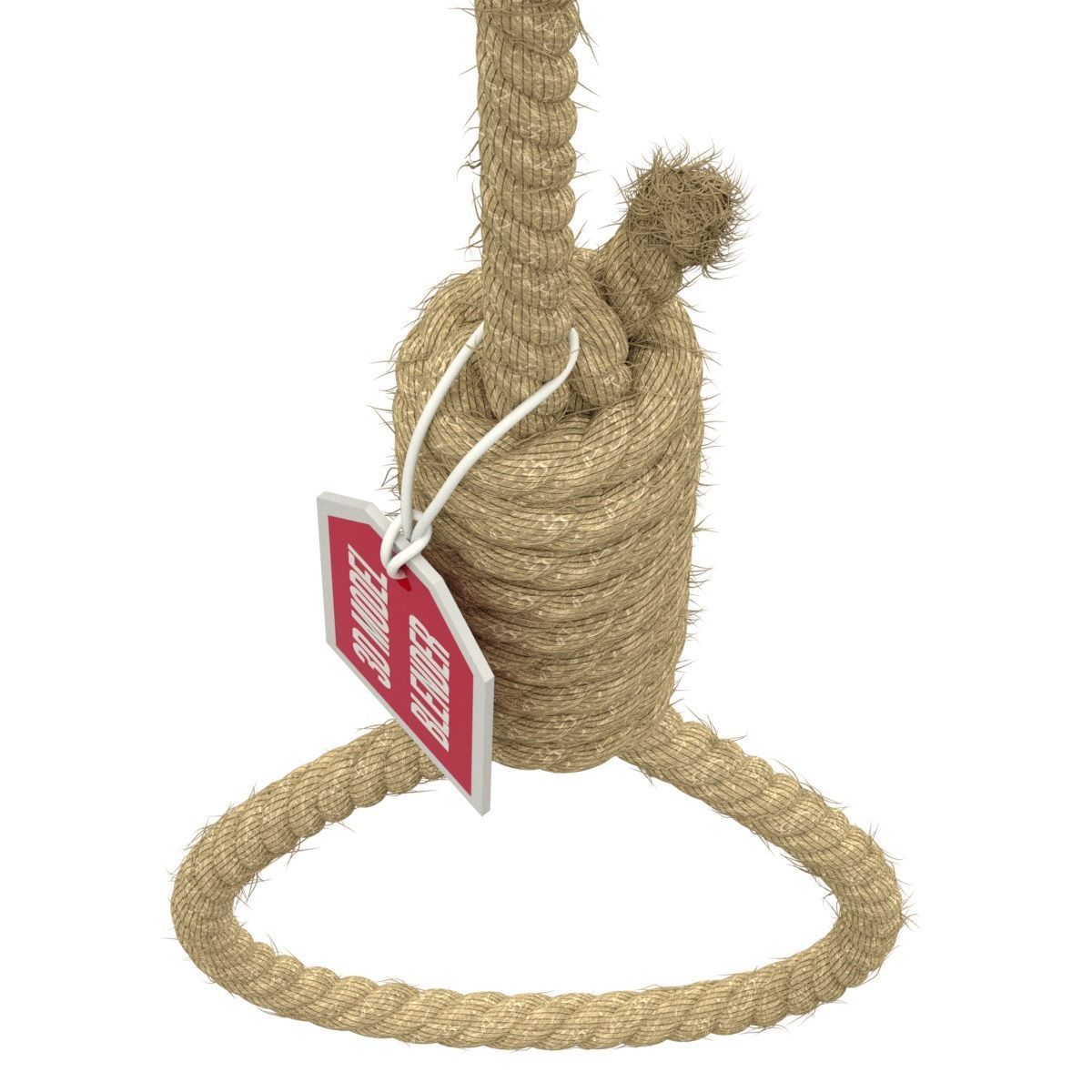Noose rope with tag hanging from it 3D model_6