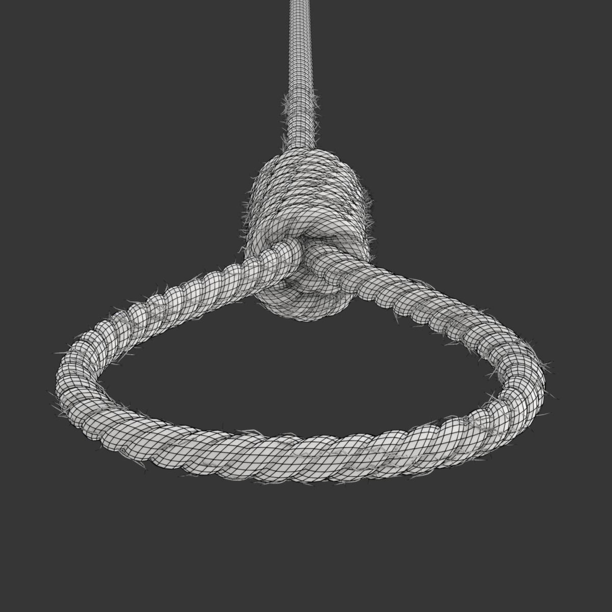 Noose rope with tag hanging from it 3D model_20