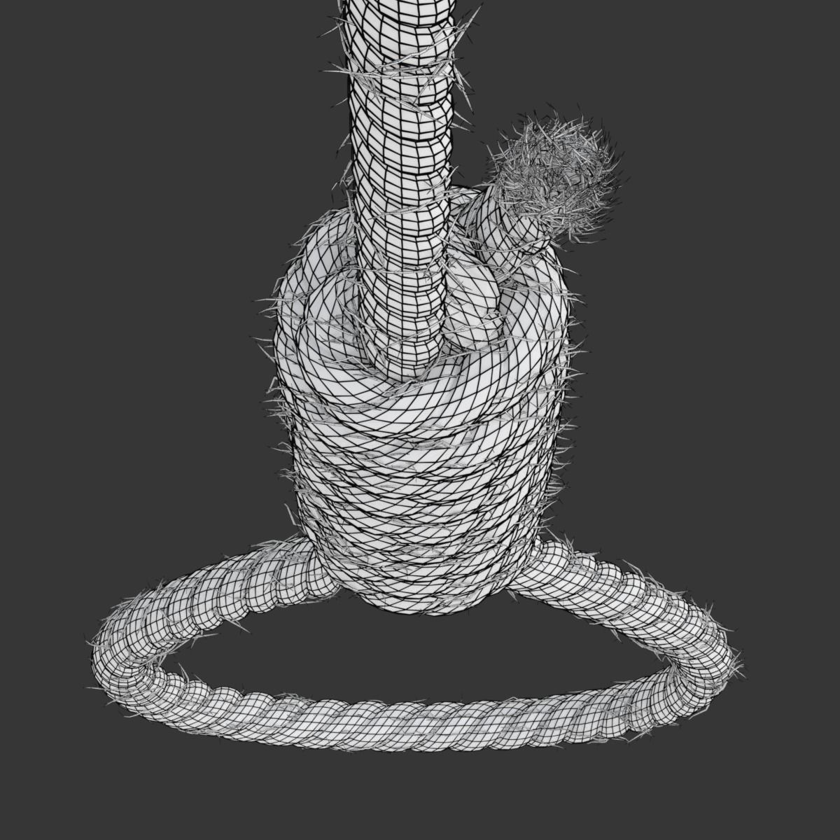 Noose rope with tag hanging from it 3D model_24