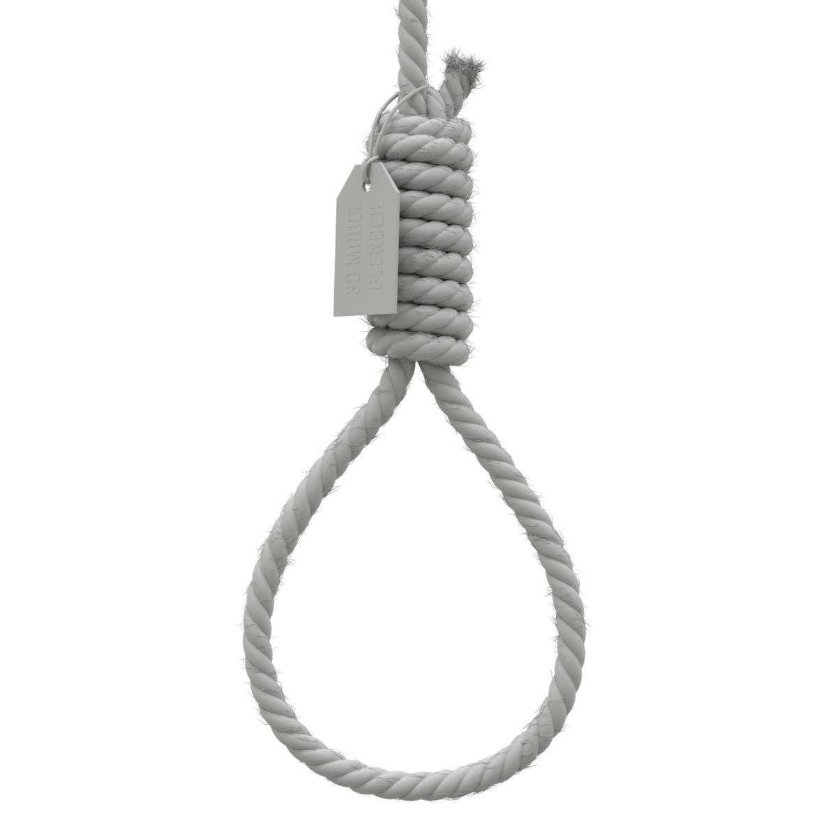 Noose rope with tag hanging from it 3D model_9